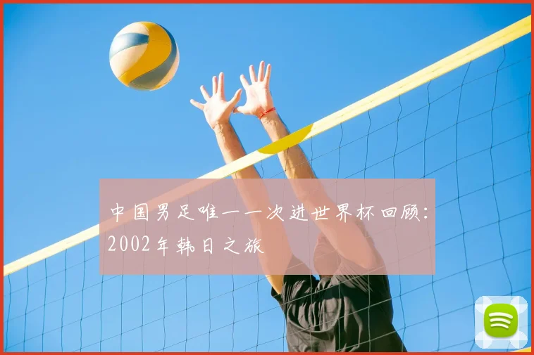 中国男足唯一一次进世界杯回顾：2002年韩日之旅