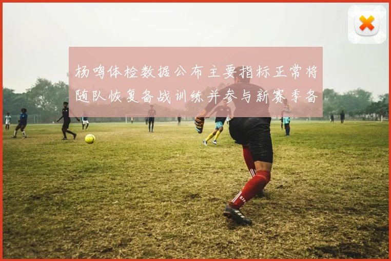 杨鸣体检数据公布主要指标正常将随队恢复备战训练并参与新赛季备战计划