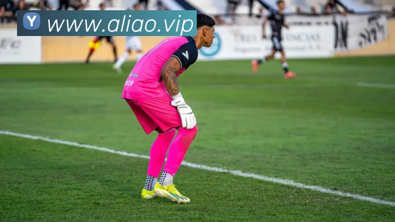 世界杯官方网络平台平台生态图